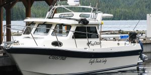 Boat-repair-PNP